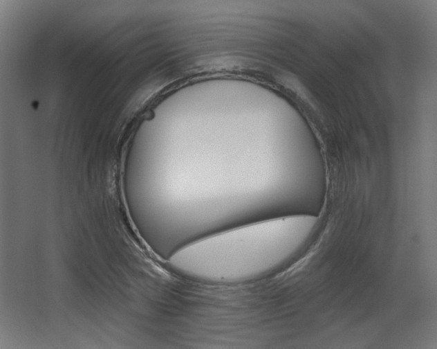 X0000068300778200604211010