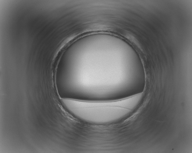 X0000068300781200604211009