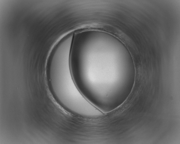 X0000068300784200604211009