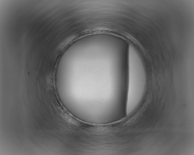 X0000068300785200604211009