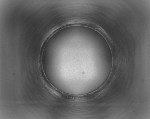 X0000068300786200604211009
