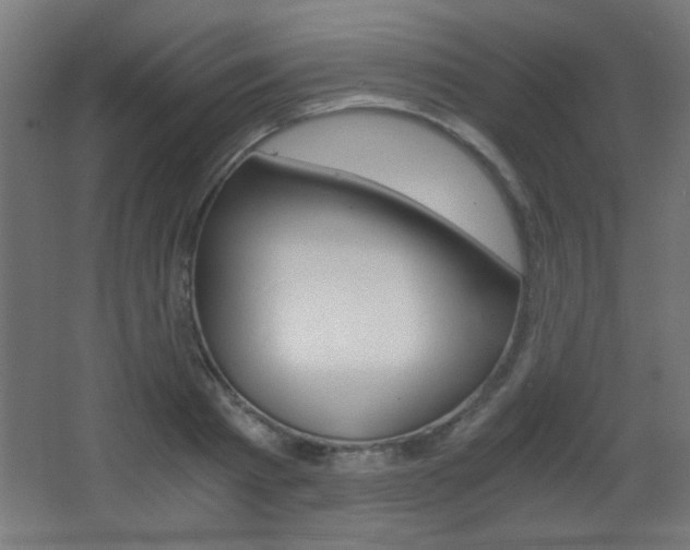 X0000068300793200604211009