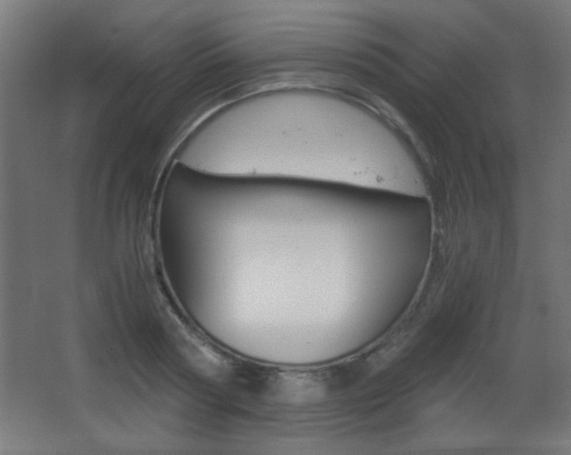 X0000068300794200604211009