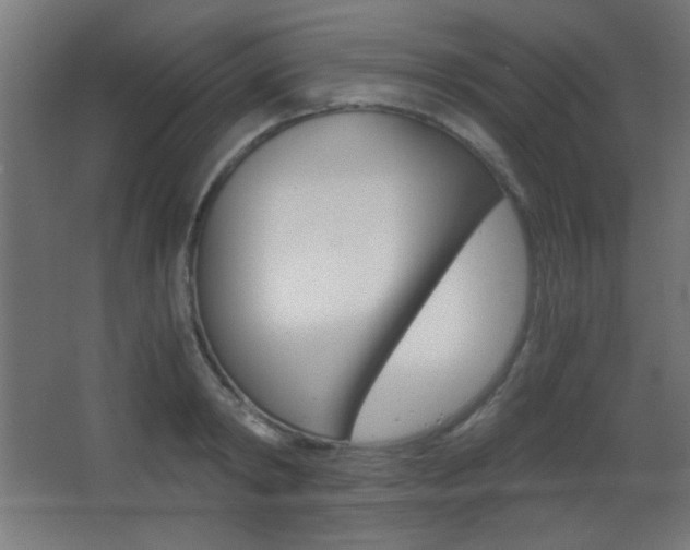 X0000068300798200604211009