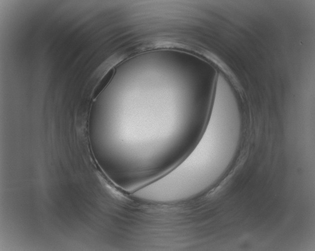 X0000068300801200604211009