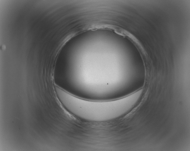 X0000068300809200604211009