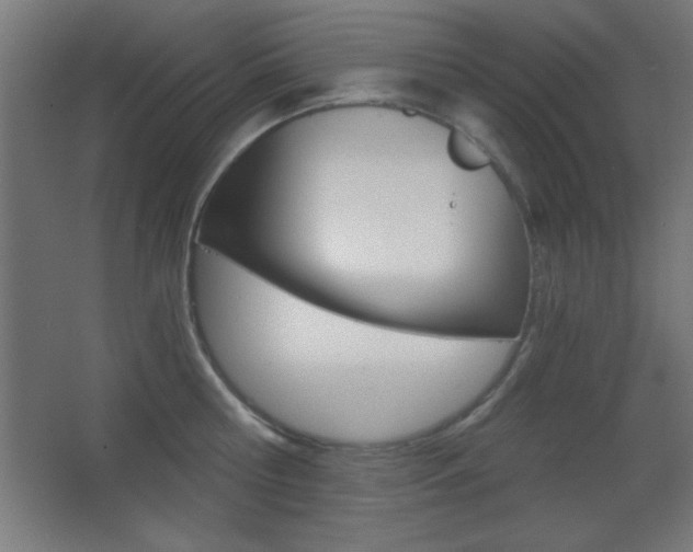 X0000068300810200604211009
