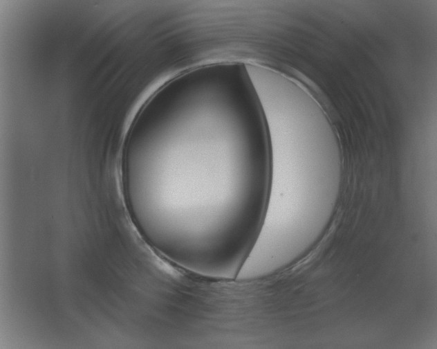 X0000068300812200604211009
