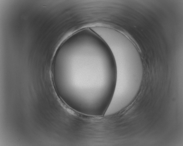 X0000068300813200604211009