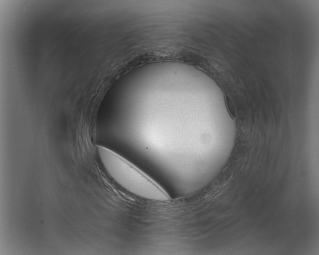 X0000068300817200604211008