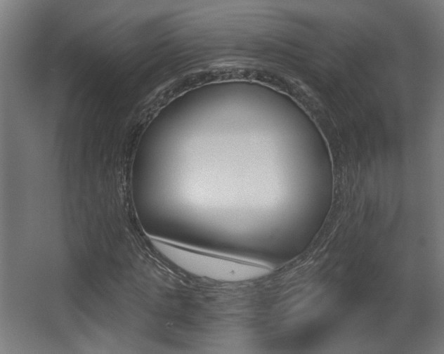 X0000068300821200604211008