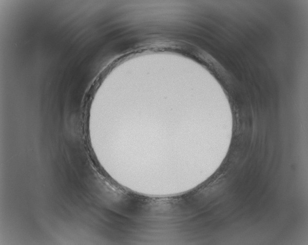 X0000068300828200604211008