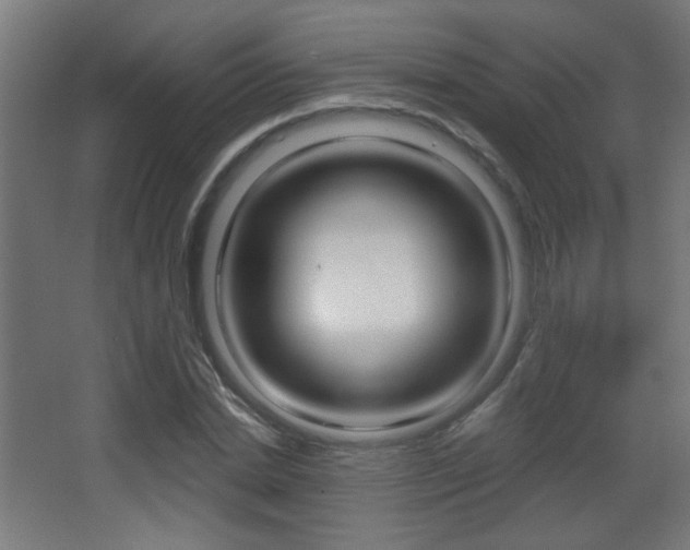 X0000068300830200604211008