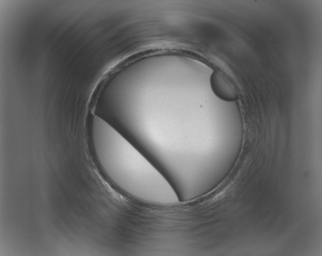 X0000068300831200604211008