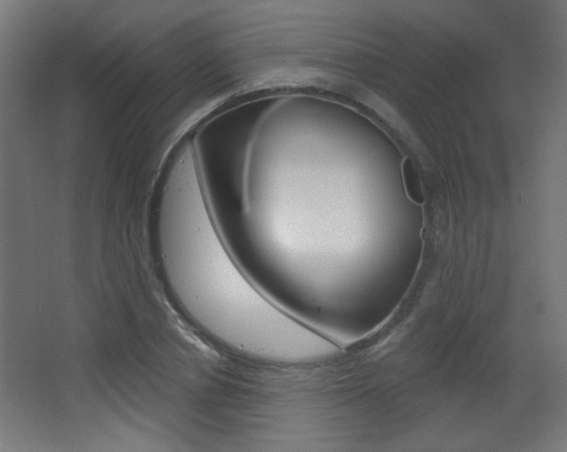 X0000068300834200604211008