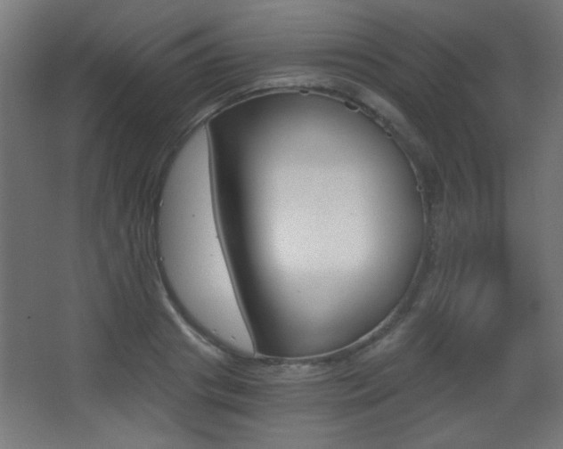 X0000068300841200604211009