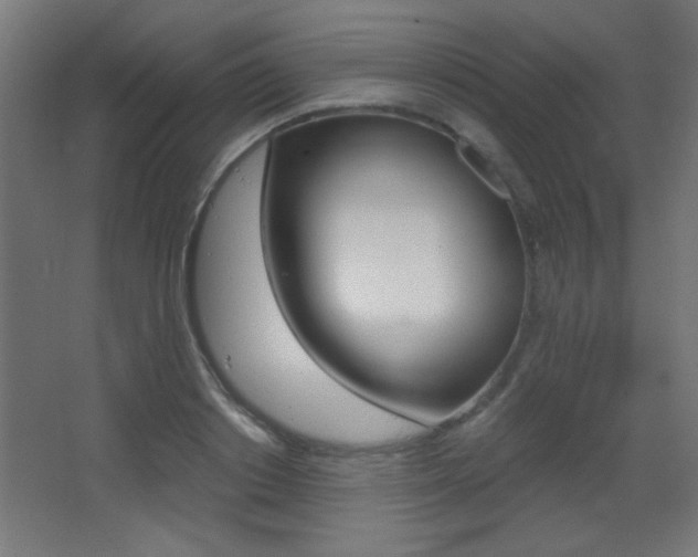 X0000068300842200604211009