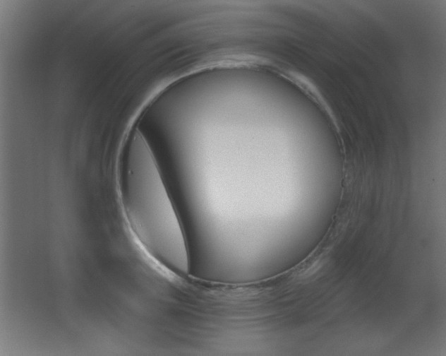 X0000068300851200604211009