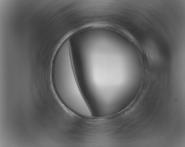 X0000068300853200604211009