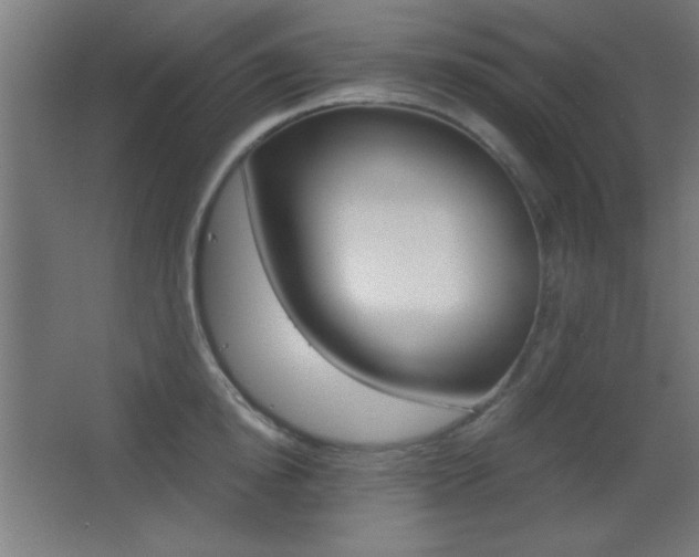 X0000068300854200604211009