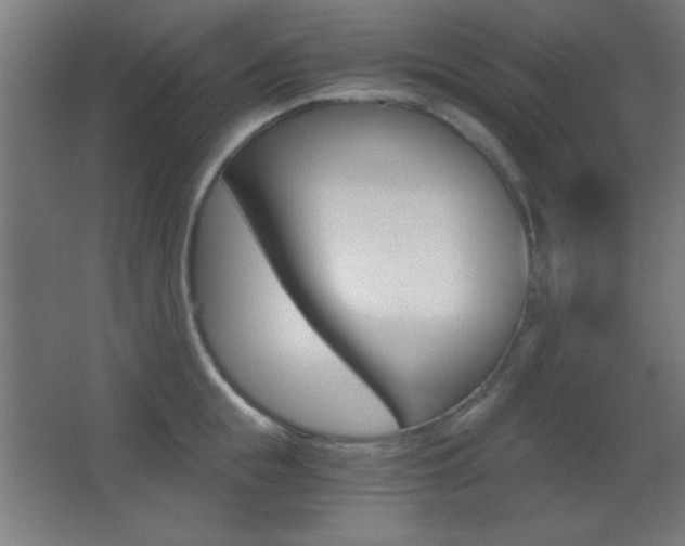 X0000068300855200604211009