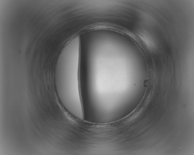 X0000068300857200604211009