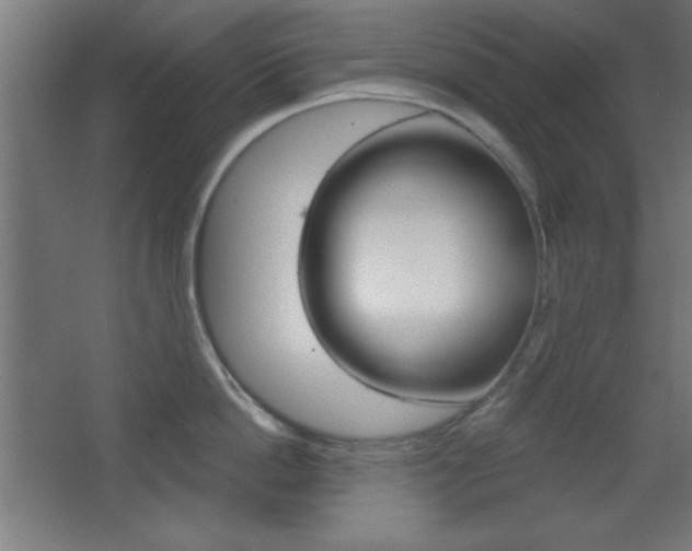X0000068300862200604211009