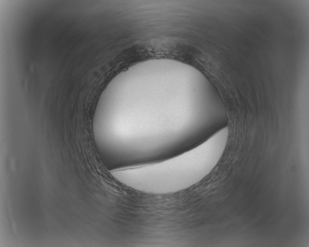 X0000068300865200604211008