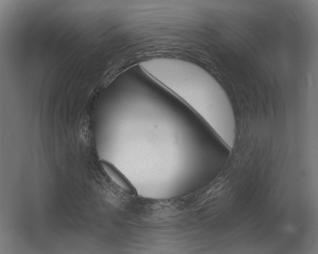 X0000068300867200604211008