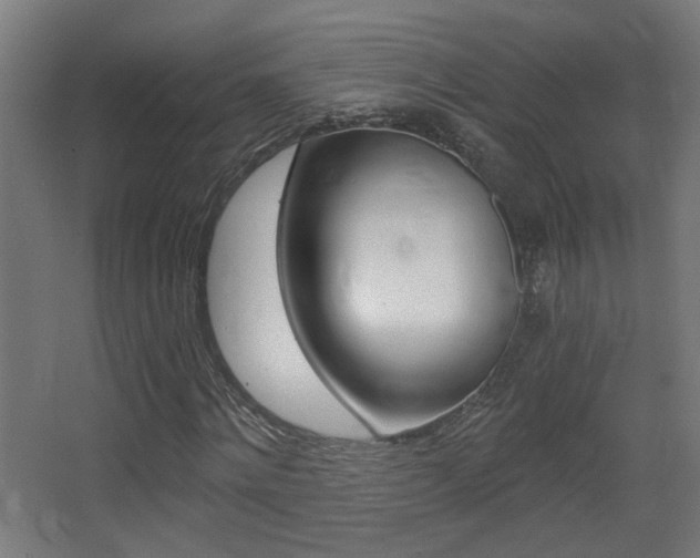 X0000068300868200604211008