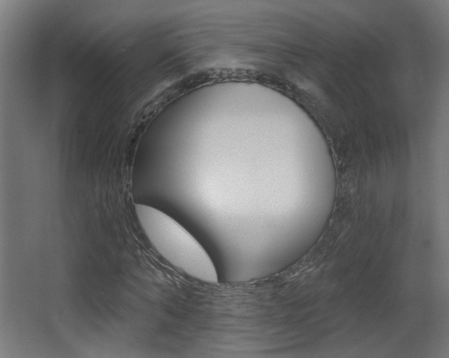 X0000068300870200604211008