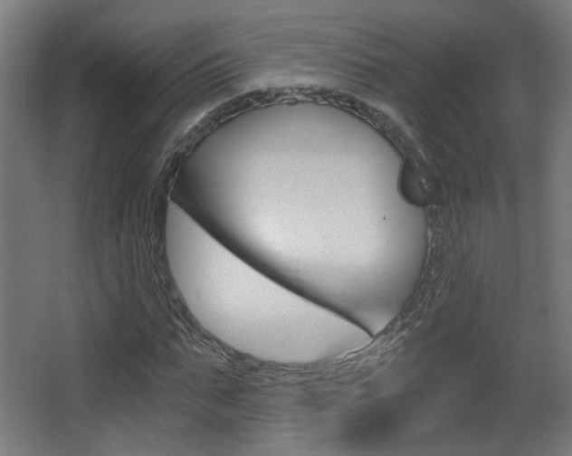 X0000068300871200604211008