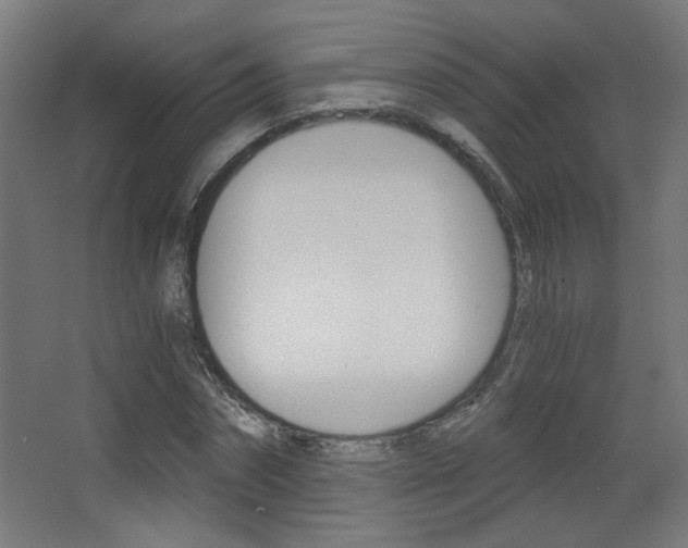 X0000068300874200604211008