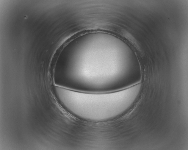 X0000068300876200604211008