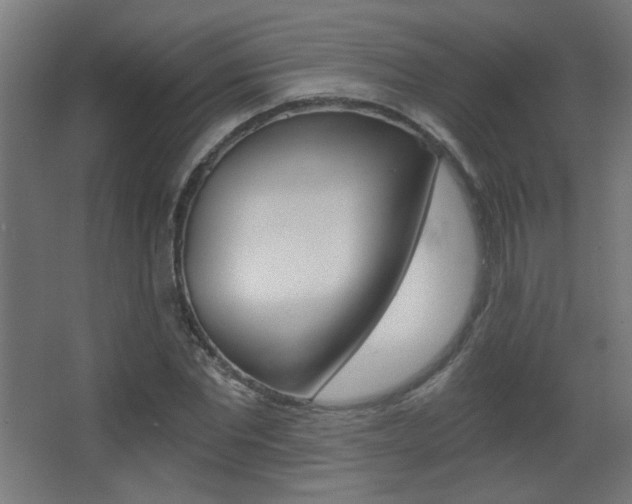 X0000068300877200604211008