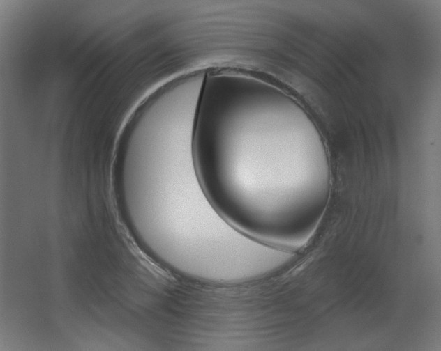 X0000068300880200604211008