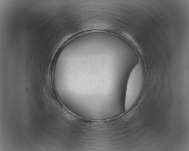 X0000068300883200604211008