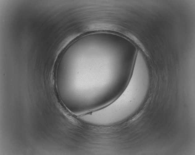 X0000068300885200604211008
