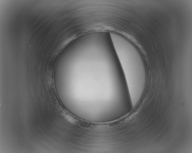 X0000068300889200604211008