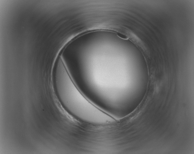 X0000068300892200604211008