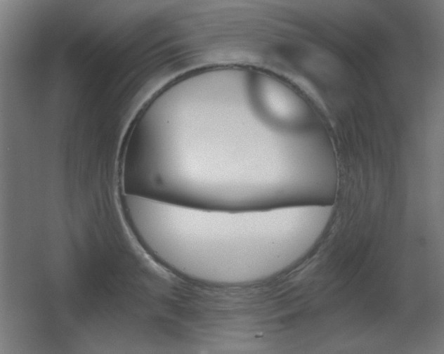 X0000068300895200604211008