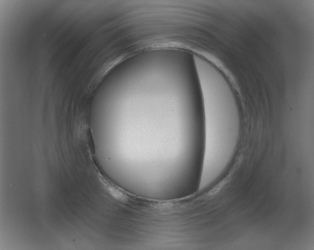 X0000068300897200604211008