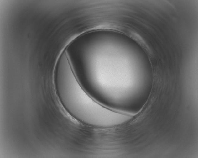 X0000068300900200604211007