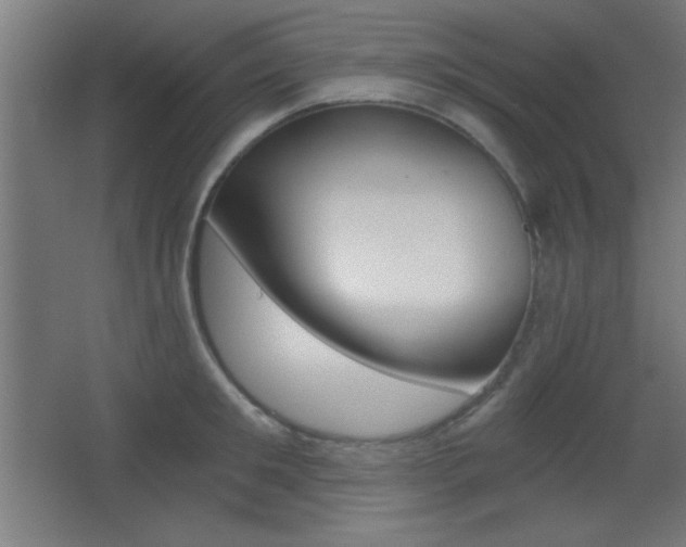 X0000068300901200604211007
