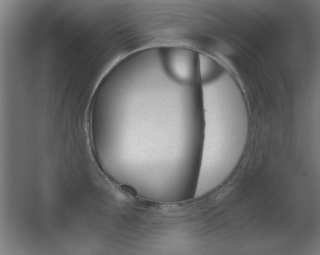 X0000068300907200604211007