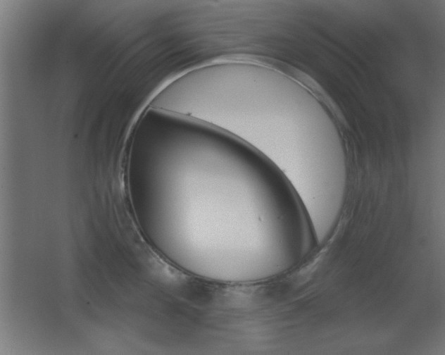 X0000068300908200604211007
