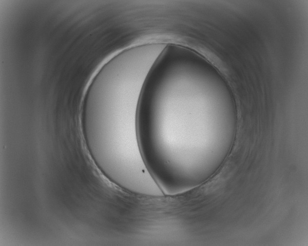 X0000068300912200604211007