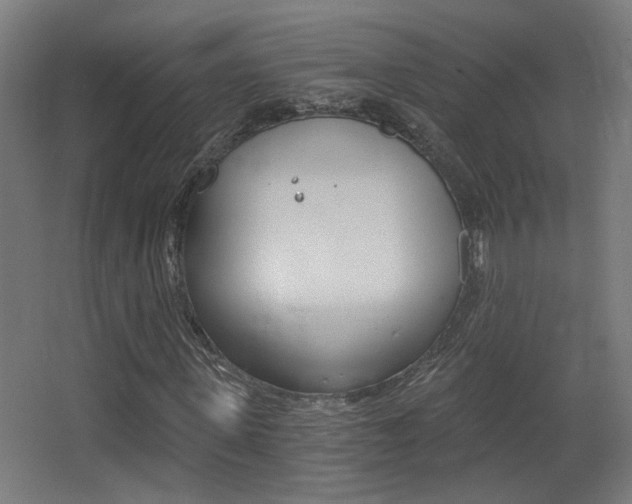 X0000068300915200604211007