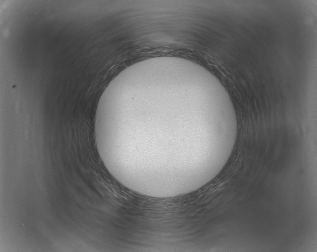 X0000068300916200604211007