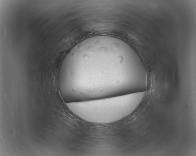 X0000068300917200604211007